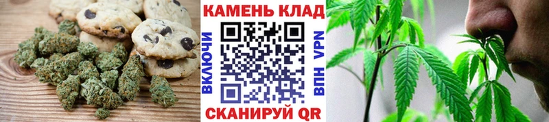 Canna-Cookies марихуана  Лодейное Поле 