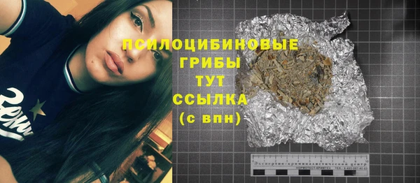 spice Алексин