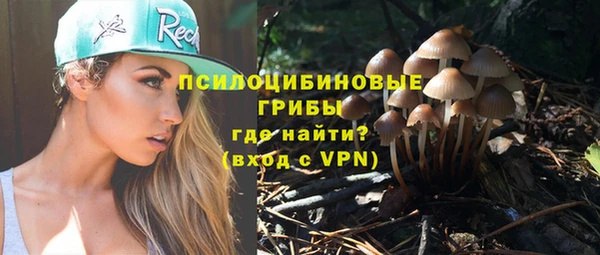 герыч Алзамай